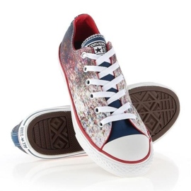 Converse Chuck Taylor All Star Jr 647644C mångfärgad