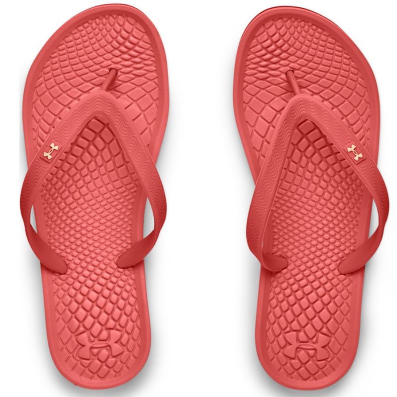 Under Armour Atlantic Dune TW 3022 716 603 flip-flops röd rosa