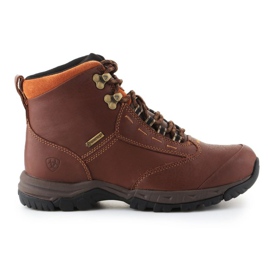 Ariat Berwick Gtx W 10016298 skor brun