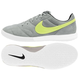 Nike Premier 2 Sala Ic M AV3153 012 fotbollsskor grå grön nyanser av grå