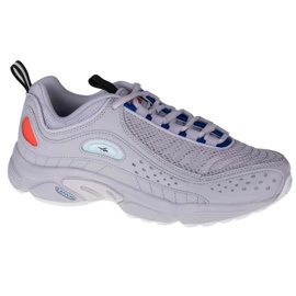 Reebok Daytona Dmx Ii M EF3406 grå
