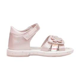 Vices 3SD730-45-rosa