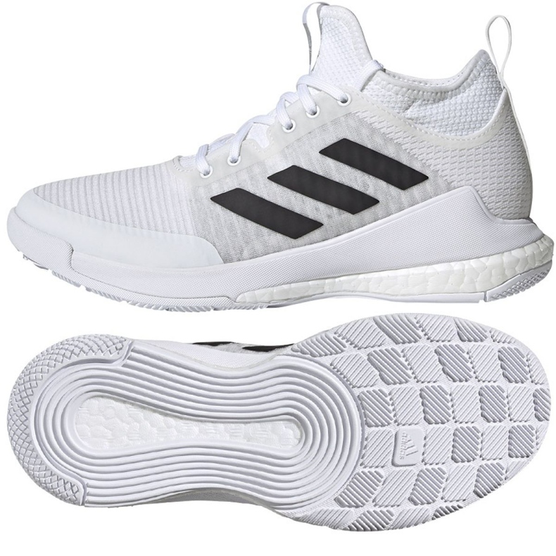 Adidas CrazyFlight Mid W FX1792 volleybollskor mångfärgad brun