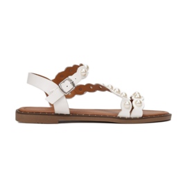 Vices CM55-55-71-vit