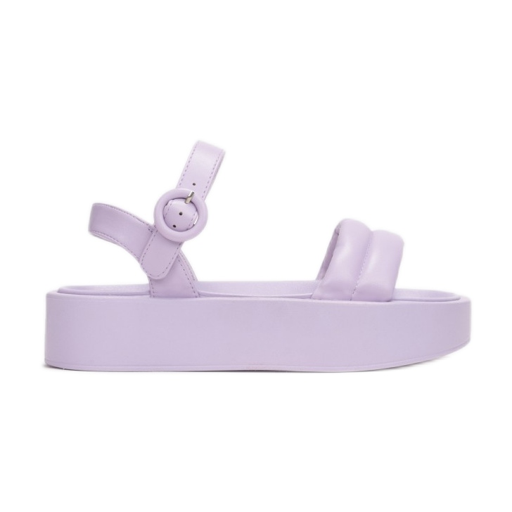 Vices 2257-66-violett