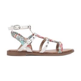 Vices CM-6652-71-vit