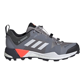 Adidas Terrex Skychaser Gtx M EG2868 skor mångfärgad