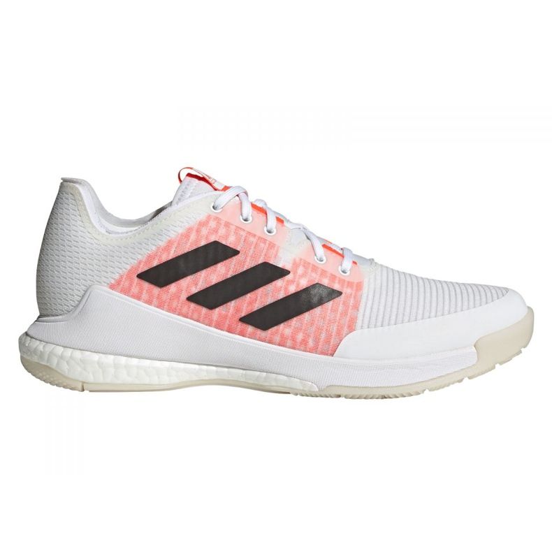 Adidas Crazyflight Tokyo M GW2321 skor vit vit