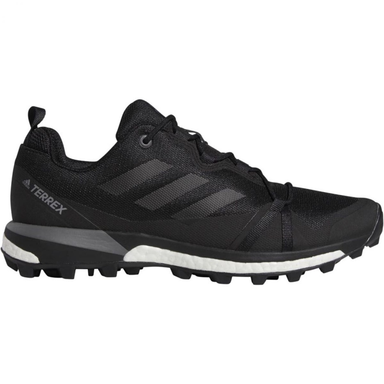 Adidas Terrex Skychaser M F36116 skor svart