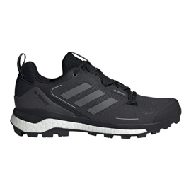 Adidas Terrex Skychaser 2 Gtx M FX4547 skor svart