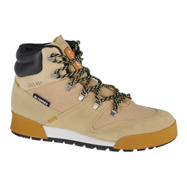 Adidas Terrex Snowpitch Cold.Rdy M FZ3377 skor beige