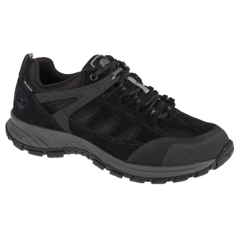 Timberland Sadler Pass Gtx A1PG2 skor svart
