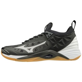 Volleybollskor Mizuno Wave Momentum 204 M HS-TNK-000011235 svart svart