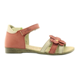 Flickas sandaler Ren But hallonblomma röd mångfärgad