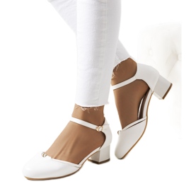 Vita pumps på en låg stolpe från Lynden