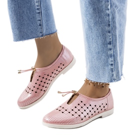 Cassinia rosa genombrutna skor