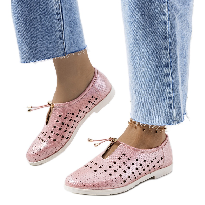 Cassinia rosa genombrutna skor