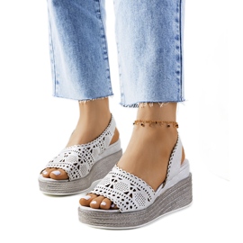 Silvergenombrutna sandaler på en bibelkil