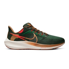 Nike Air Zoom Pegasus 39 AIR Hola Lou M DO9500-300 sko grön