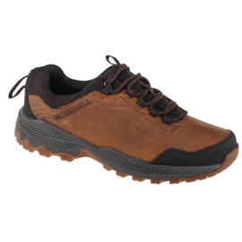 Merrell Forestbound M J99643 skor brun