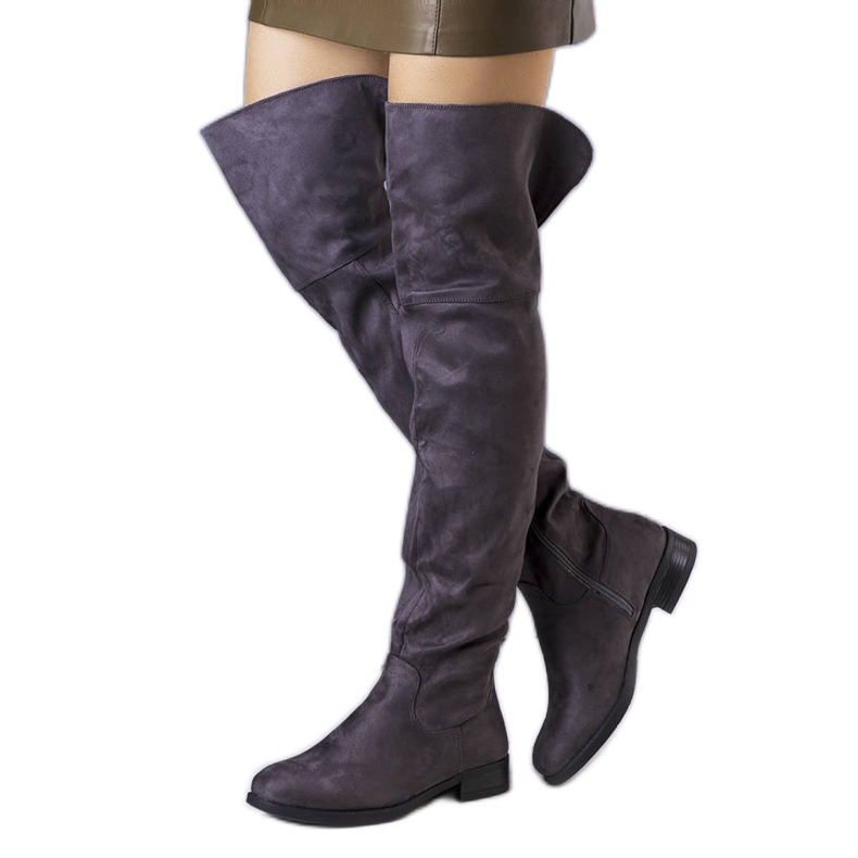 BM Grå isolerade musketörer från Salci