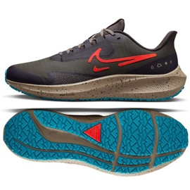 Nike Air Zoom Pegasus M DO7625 200 löparsko mångfärgad grå