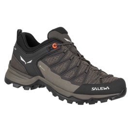 Salewa Mtn Trainer Lite Gtx W 61362-7517 vandringsskor brun