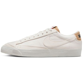 Nike Blazer Low '77 Prm M DV7231 001 skor vit