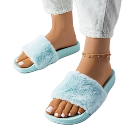 Blå diabilder med päls från Raffaele