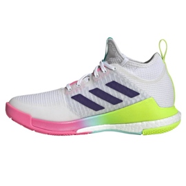 Volleybollskor adidas CrazyFlight Mid W HP3337 vit vit
