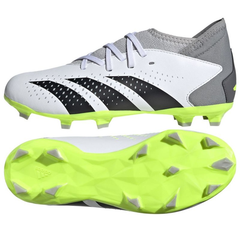 Skor adidas Predator Accuracy.3 Fg Jr IE9504 vit vit