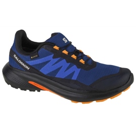 Skor Salomon Hypulse Gtx M 415961 blå