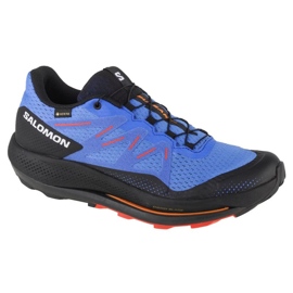 Salomon Pulsar Trail Gtx M 416080 löparskor blå