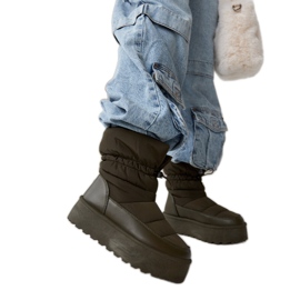 Gröna isolerade snökängor på Polk-plattformen