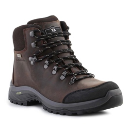 Garmont Syncro Light Plus Gtx M 002490 skor brun