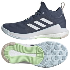 Adidas Crazyflight Mid W IG3971 volleybollskor blå