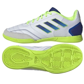 Adidas Top Sala Competition In Jr IF6908 fotbollsskor vit