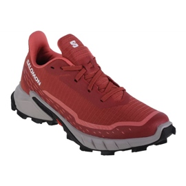 Salomon Alphacross 5 W löparskor 473136 brun