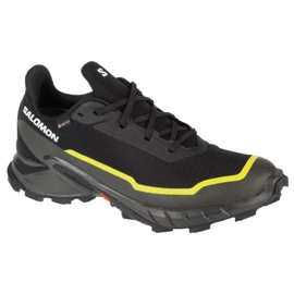 Salomon Alphacross 5 Gtx skor 474604 svart