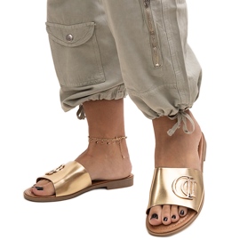 Almeita guldspänne diabilder gyllene