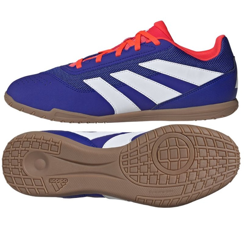 Adidas Predator Club Sala In IF6403 fotbollsskor blå