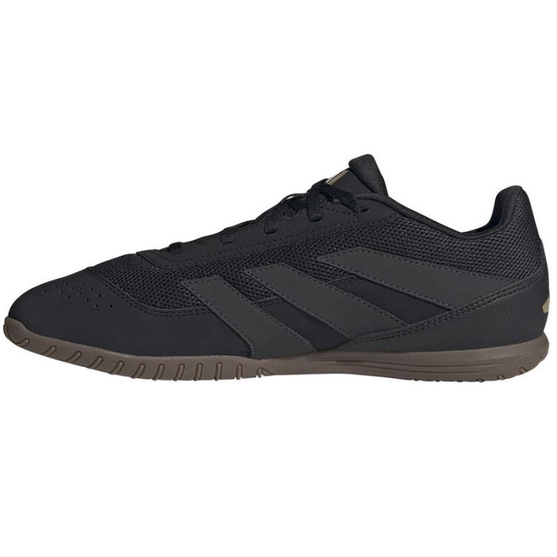 Adidas Predator Club Sala In IF6405 skor svart