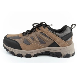 Skechers Enago 66275/TAN skor beige