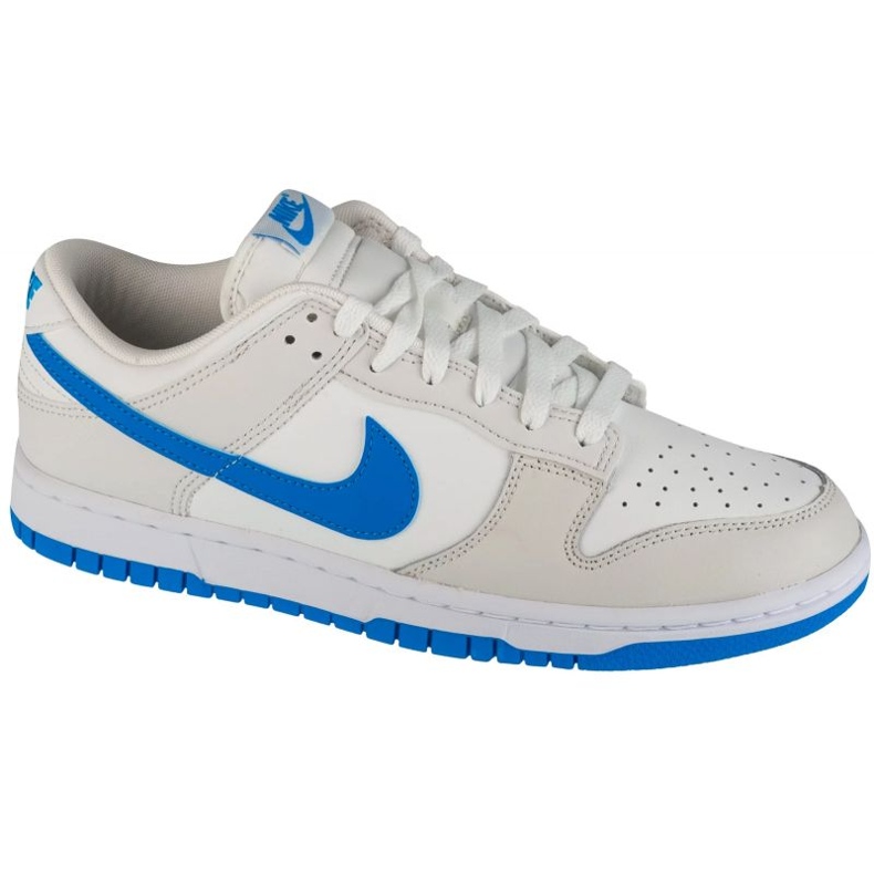 Nike Dunk Low Retro DV0831-108 skor vit