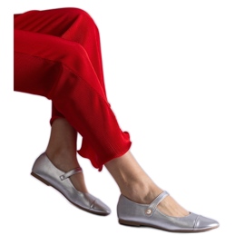 Silverbalettlägenheter med kardborreknäppning