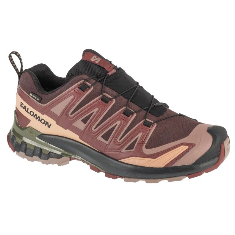 Salomon XA Pro 3D V9 GTX L47583500 Löpskor brun