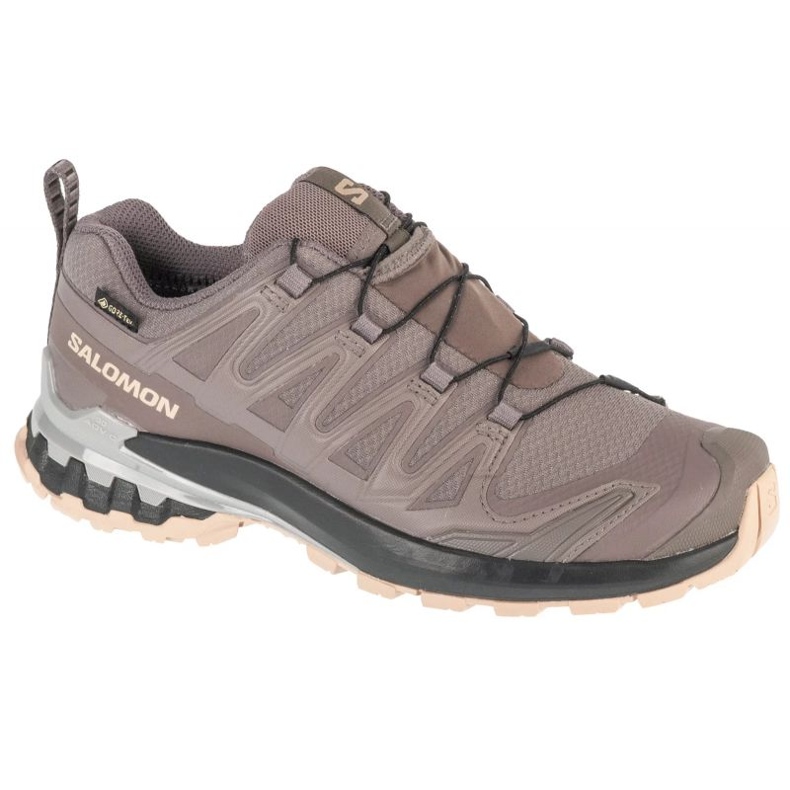 Salomon XA Pro 3D V9 GTX L47744500 Grå