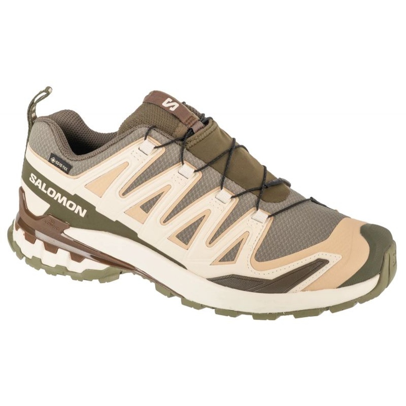 Salomon XA Pro 3D V9 GTX L47820200 Löpskor grön