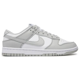 Nike Dunk Low Retro DD1391-103 skor grå