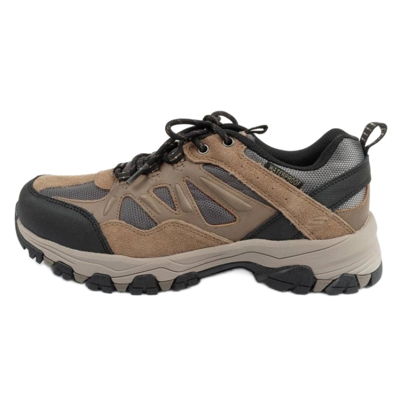 Skechers Enago 66275/TAN skor beige
